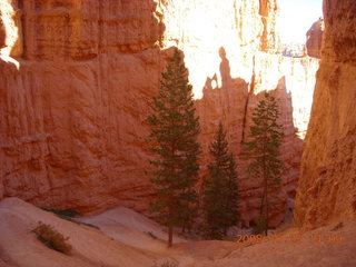 Bryce Canyon - Navajo loop trail