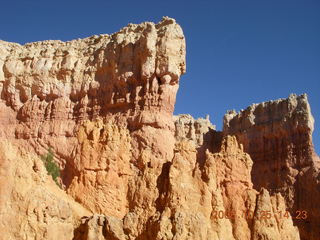 Bryce Canyon - Navajo loop trail