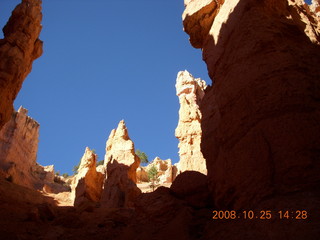 Bryce Canyon - Navajo loop trail