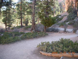 Bryce Canyon - Navajo to Queens Garden