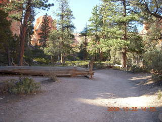 Bryce Canyon - Navajo to Queens Garden