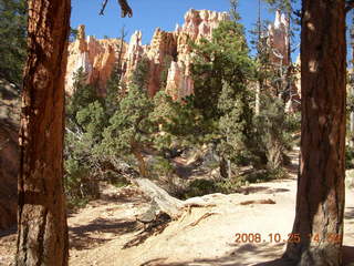 Bryce Canyon - Navajo to Queens Garden