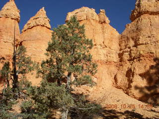 Bryce Canyon - Navajo to Queens Garden