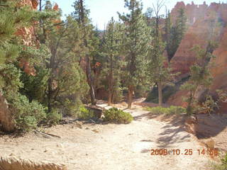 Bryce Canyon - Navajo to Queens Garden