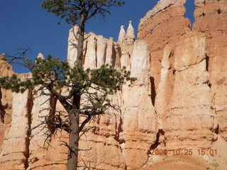 Bryce Canyon - Queens Garden trail