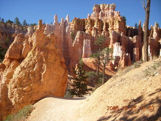 Bryce Canyon - Queens Garden trail