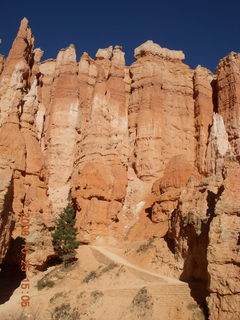 Bryce Canyon - Queens Garden trail