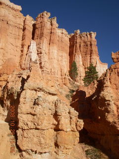 Bryce Canyon - Queens Garden trail