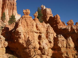 Bryce Canyon - Queens Garden trail