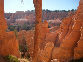 Bryce Canyon - Queens Garden trail