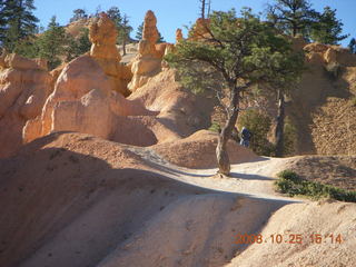 Bryce Canyon - Queens Garden trail