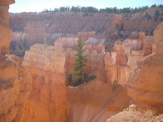 Bryce Canyon - Queens Garden trail