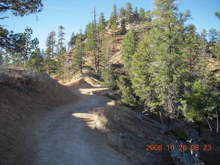 Whiteriver canyon bridge