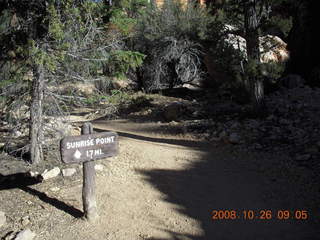 Bryce Canyon - Tower Bridge trail from sunrise