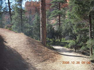 Bryce Canyon - Tower Bridge trail from sunrise