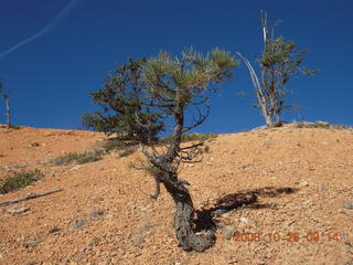 Bryce Canyon - Fairyland trail