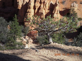 Bryce Canyon - Fairyland trail