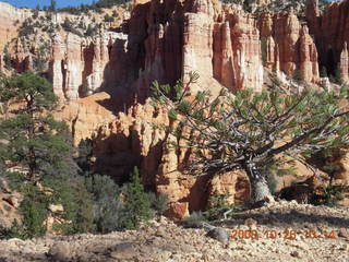 Bryce Canyon - Fairyland trail
