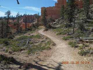 Bryce Canyon - Fairyland trail