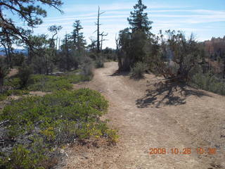 Bryce Canyon - Fairyland trail