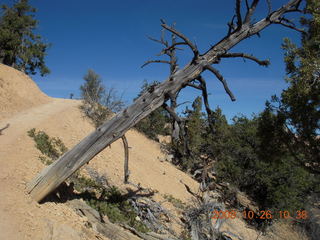 Bryce Canyon - Fairyland trail