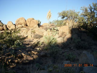 Bagdad run