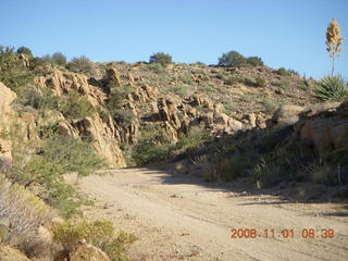 Bagdad run