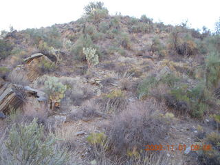 Bagdad run - Adam - back