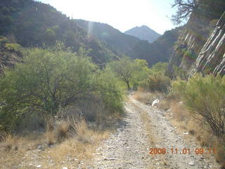 Bagdad run