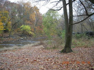 Pennypack Park run