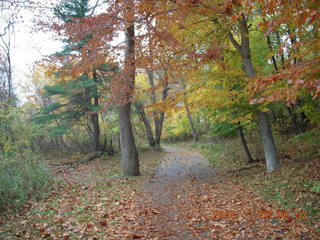 Pennypack Park run