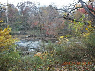 Pennypack Park run