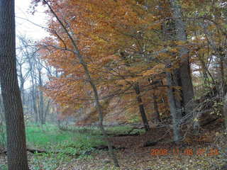 Pennypack Park run