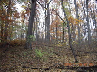 Pennypack Park run