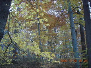 Pennypack Park run