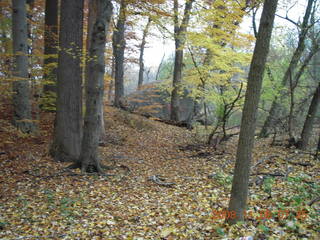 Pennypack Park run