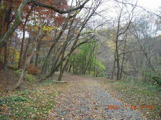 Pennypack Park run