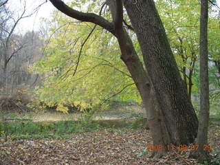 Pennypack Park run