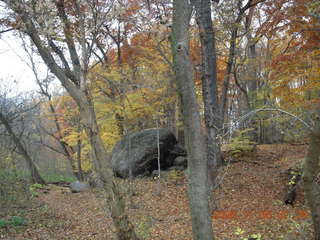 Pennypack Park run