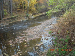 Pennypack Park run