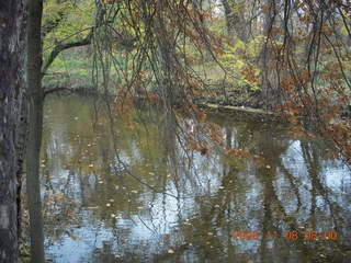 Pennypack Park run