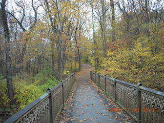 Pennypack Park run