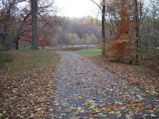 Pennypack Park run - Adam