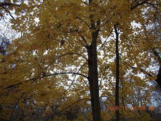 Pennypack Park run - Adam - back