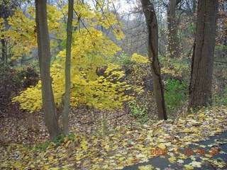 Pennypack Park run - Adam