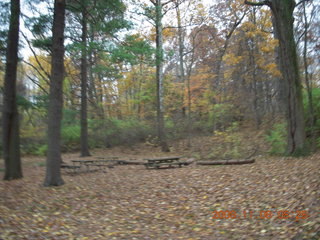 Pennypack Park run