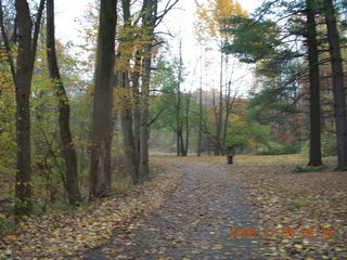 Pennypack Park run