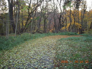 Tookany Creek Park run