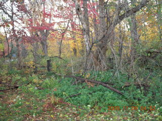 Tookany Creek Park run