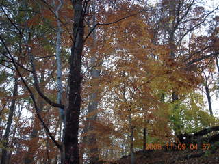 Tookany Creek Park run